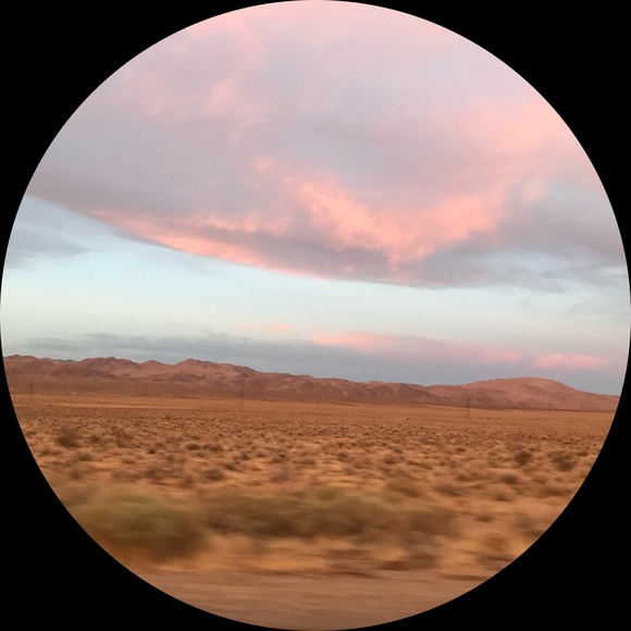 desert_juniper9